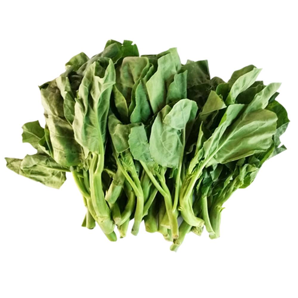 Chinese broccoli tip