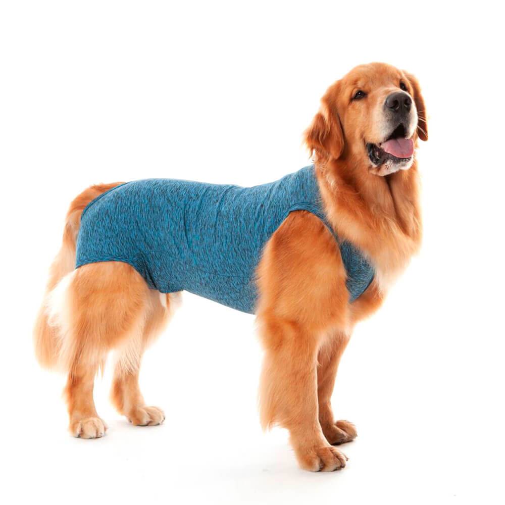 Pet med roupa pós-cirúrgica para cães machos castração azul (tam 10)