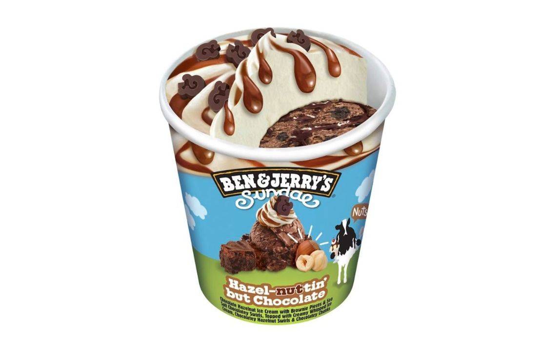 Ben & Jerry's Hazelnutin Sundae Ice Cream 427mL Tub