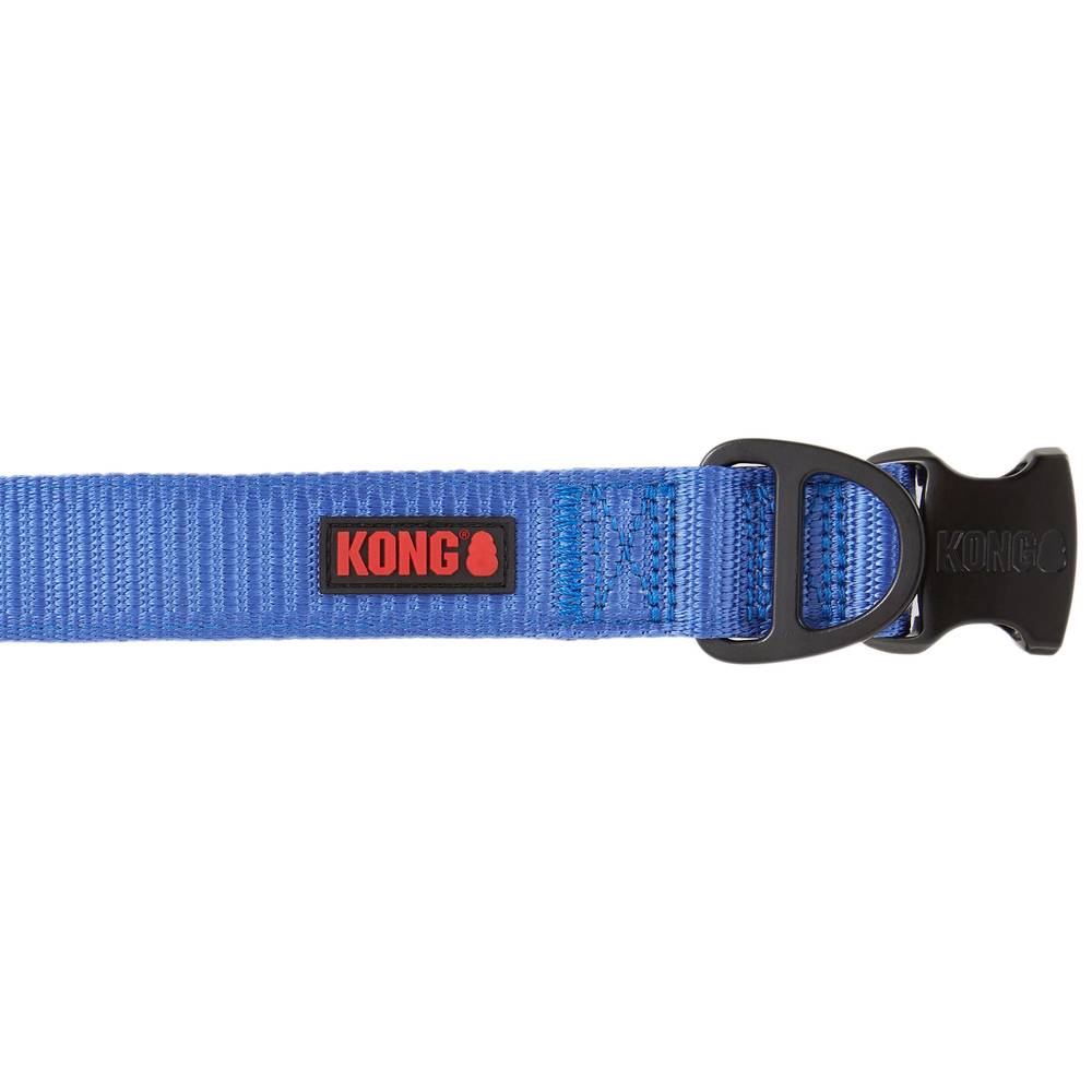 Kong Chew Resistant Dog Collar (small/blue)