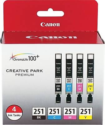 Canon 251 Black/Cyan/Magenta/Yellow Ink Cartridge, 4/Pack   (6513B004)