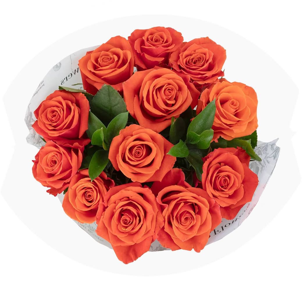 Dozen Fresh Cut Vibrant Orange Roses - Good Little Garden™