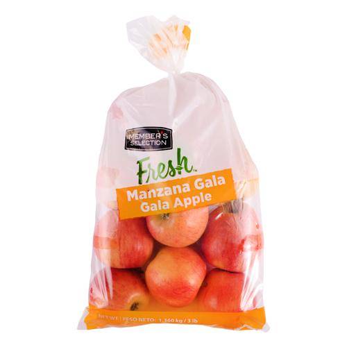 Comprar Galleta Nutri Snack Sin Azucar -432gr | Walmart Costa Rica - Maxi  Palí | Compra en línea