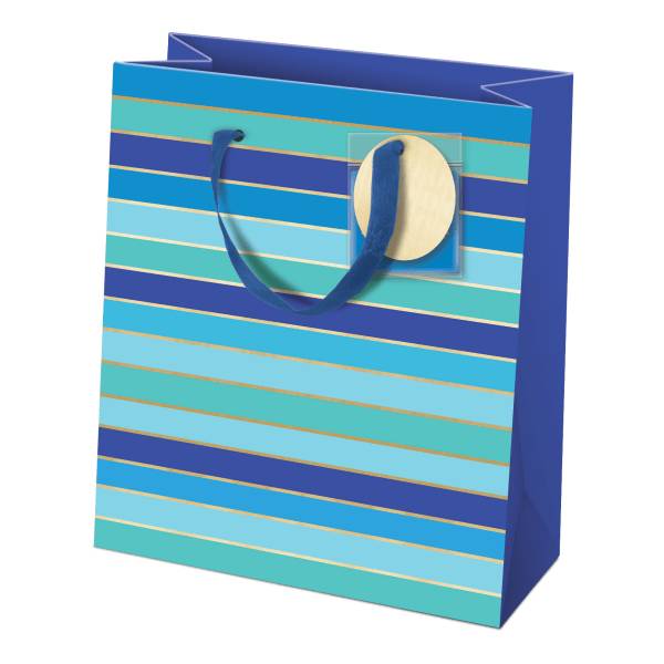 Amscan Lady Jayne Gift Bag With Tissue Paper and Hang Tag, Medium, Blue Stripes Amazon