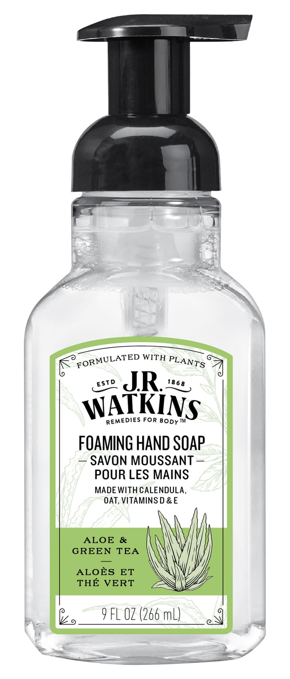 J.R. Watkins Foaming Hand Soap, Aloe-Green Tea (9 fl oz)