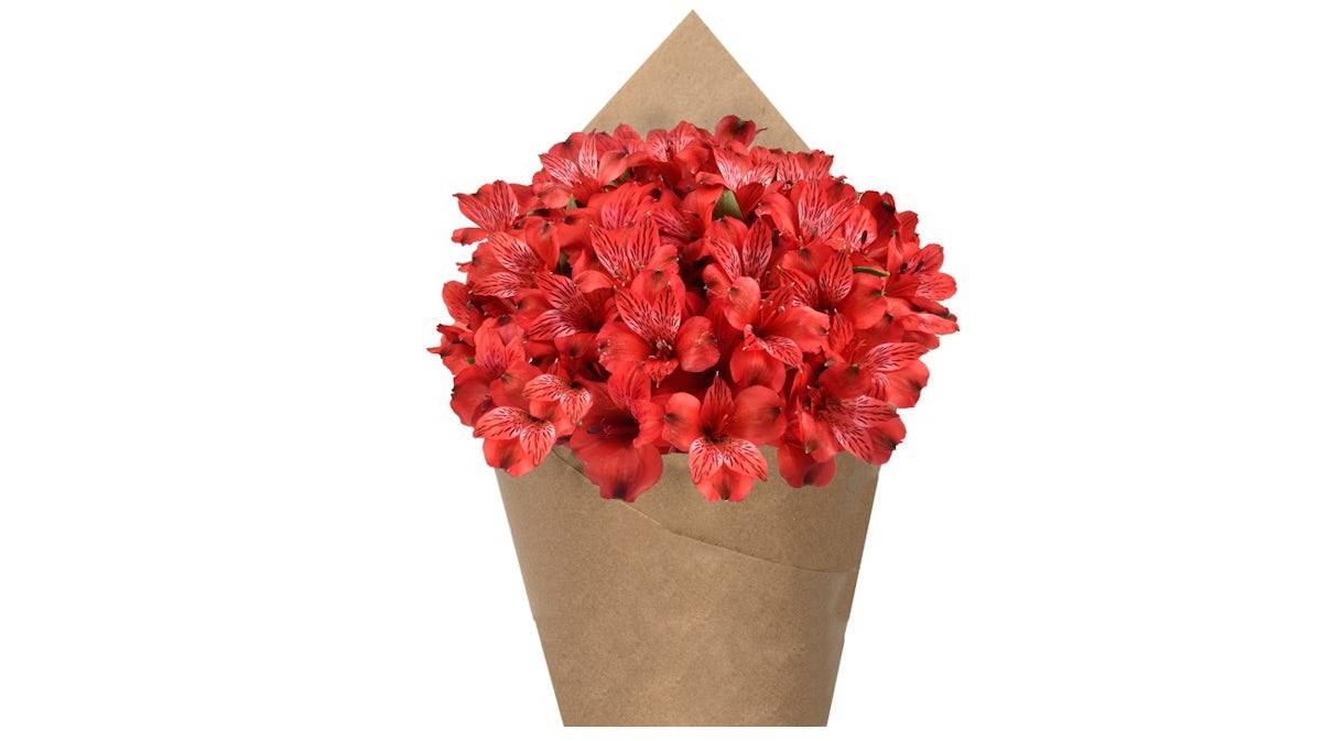 Alstroemeria Bunch - Red, 6 stem