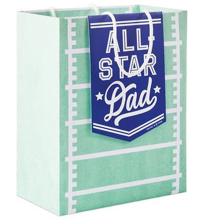 Hallmark All Star Dad Father's Day Gift Bag, Medium