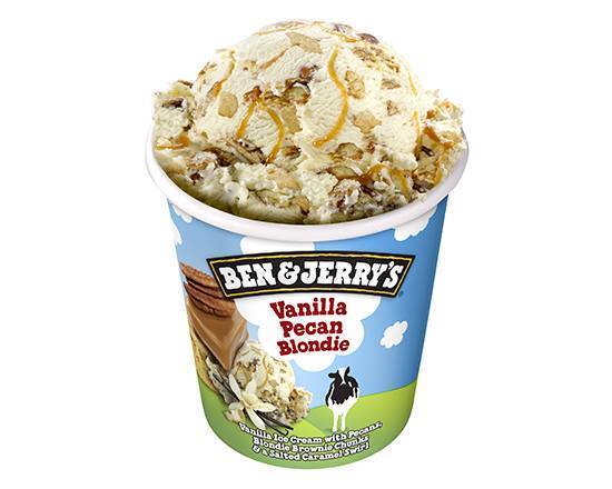 Ben & Jerry’s Vanilla Pecan Blondie 465ml