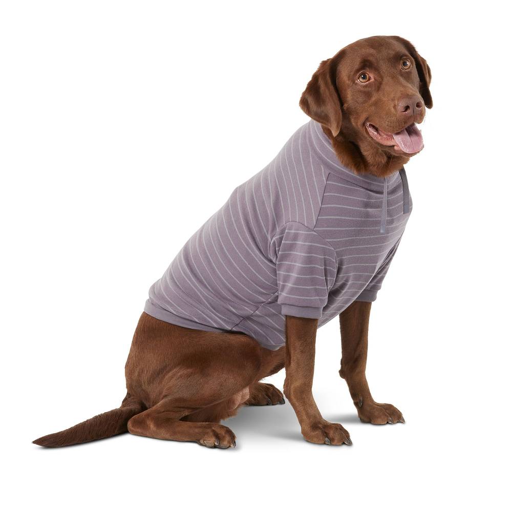 Top Paw® Mock Dog Hoodie (Color: Grey, Size: Large)