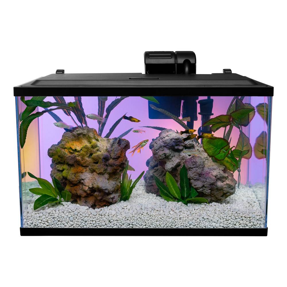 Tetra® 10-Gallon STEM Aquarium Kit (Size: 10 Gal)
