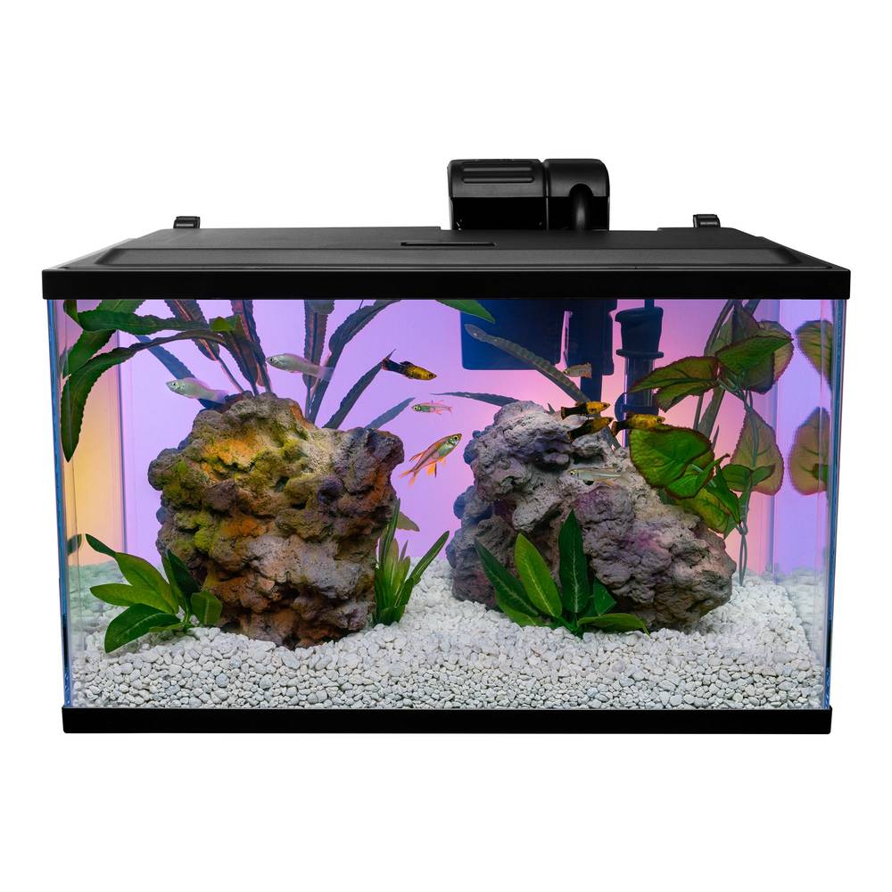 Tetra Stem Fish Aquarium Kit