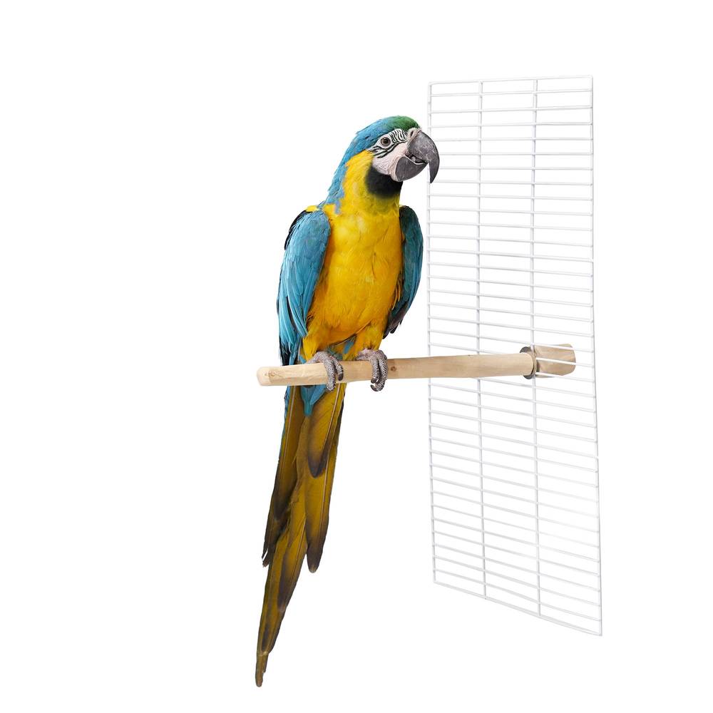 All Living Things® Java Wood Bird Perch (Size: 14 In)