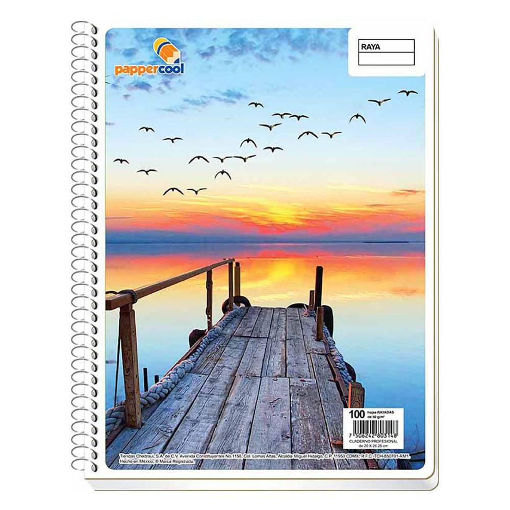 Papper Cool · Cuaderno profesional cuadro grande