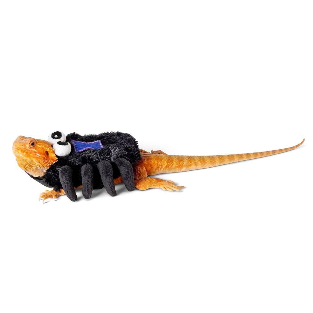 Thrills & Chills Spider Reptile Costume (Size: Small)