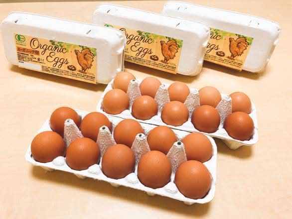 中部飼料 有機JAS(オーガニック）卵10個入り