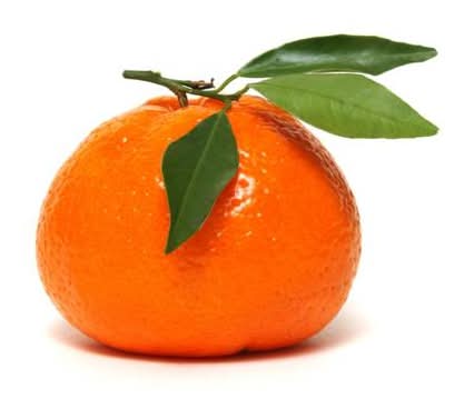 First Steet Tangerines