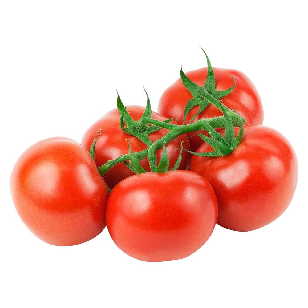 Tomatoes On The Vine, 1.36 Kg