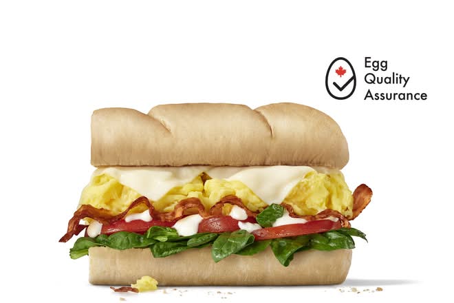Bacon & Egg