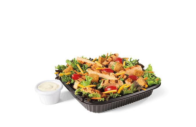 Garden Salad w/ Grilled Chicken