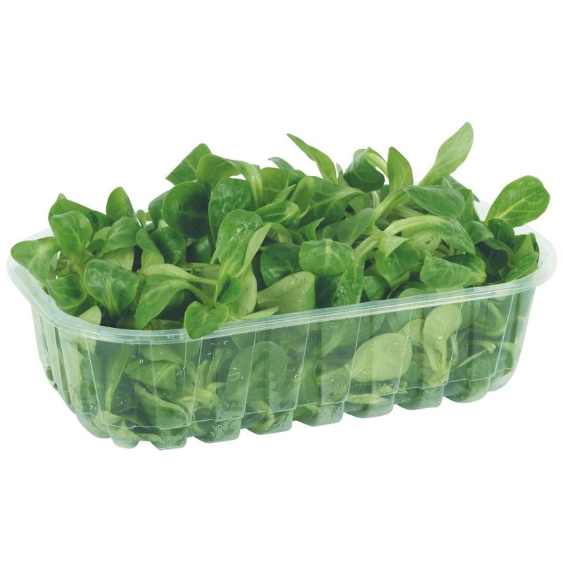 Salade mâche  barquette 125g