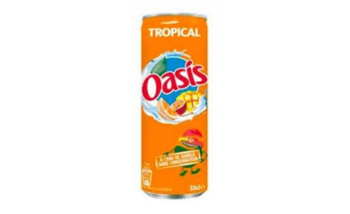 Oasis tropical 🍍