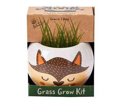 Wild Adventures Fox Planter Grass Grow Kit