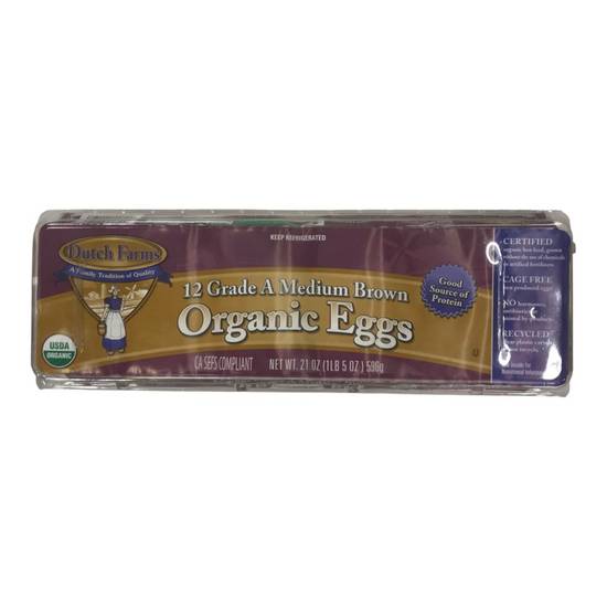 Dutch Farms Grade a Medium Organic Brown Eggs (12 eggs)