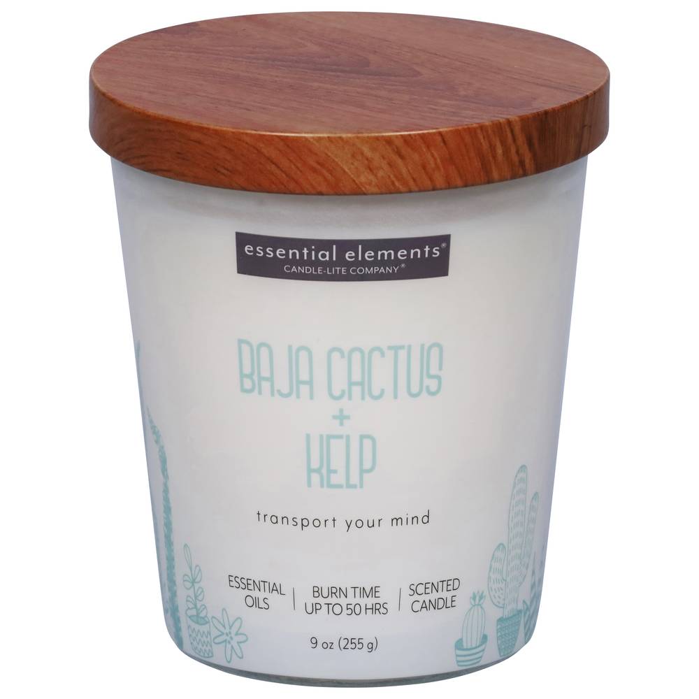 Essential Elements Baja Cactus + Kelp Candle