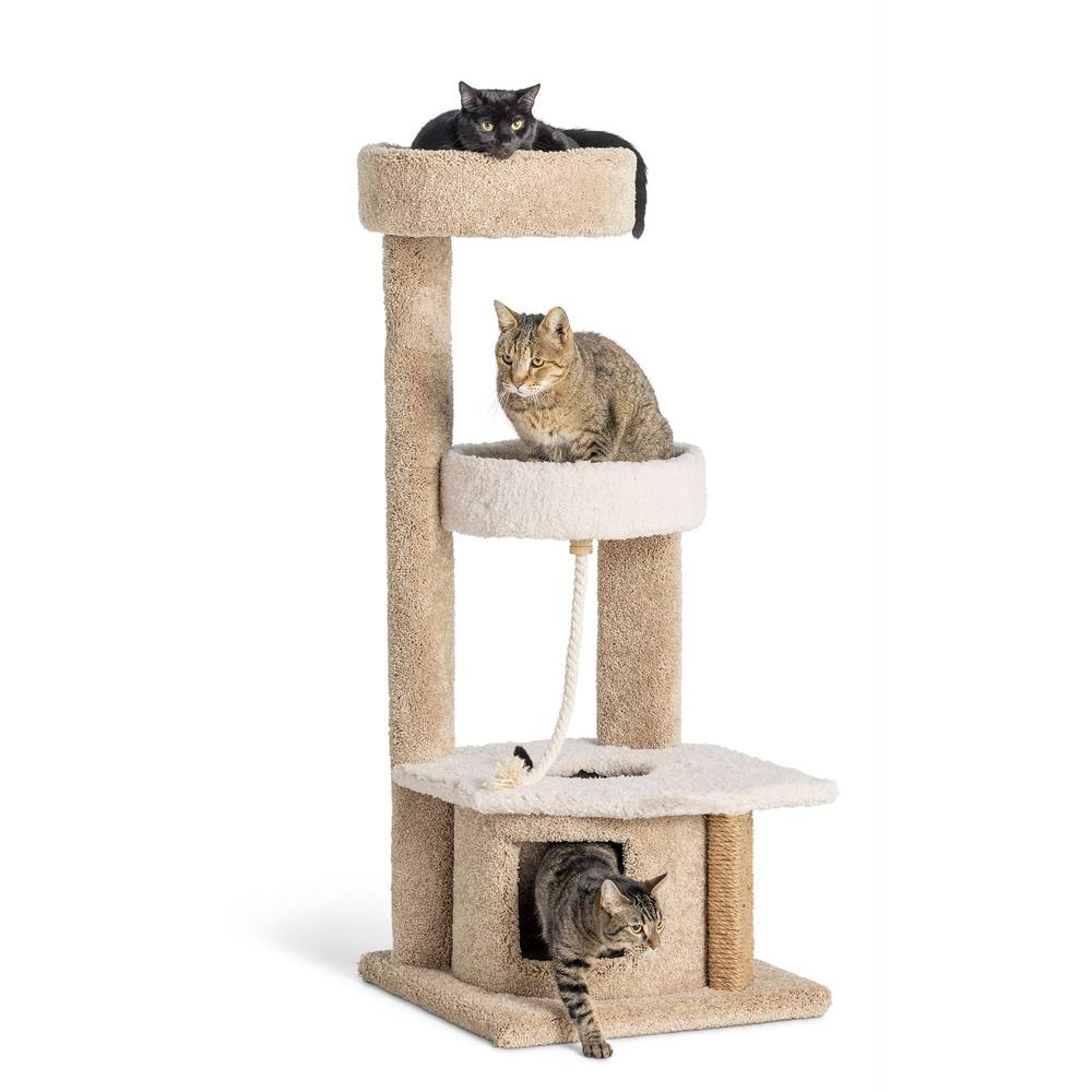 Whisker City® 48-in Cozy Climber Cat Tower (COLOR VARIES) (Color: Assorted)