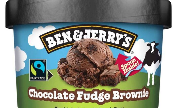 Ben & Jerry's Chocolate Fudge Brownie, Fairtrade Max Havelaar, 100 ml