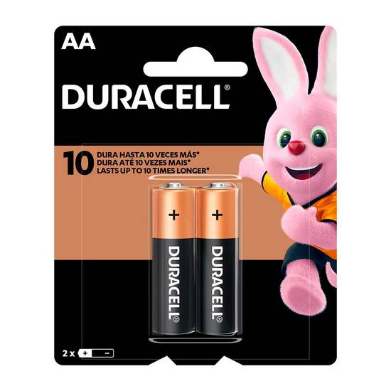 Duracell pilha alcalina aa (2 un)