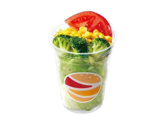 サラダ ノンオイル和風ドレッシング Salad Non-Oil Japanese-Style dressing