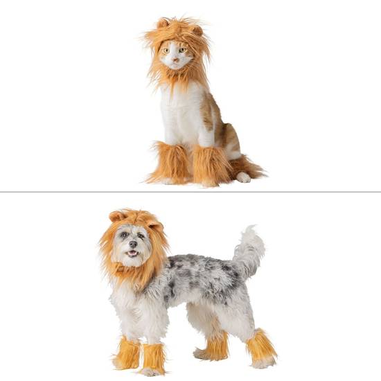 Thrills & Chills™ Halloween Lion Dog & Cat Costume Set (Color: Multi Color, Size: Large/X Large)