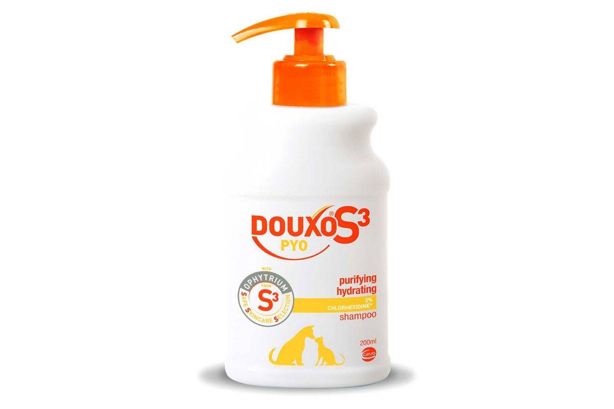 Douxo S3 Pyo Antibacterial & Anti-Yeast Shampoo 200ml