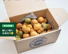 廣島ベビカス楽々園店    Hiroshimabebikasu rakurakuenten