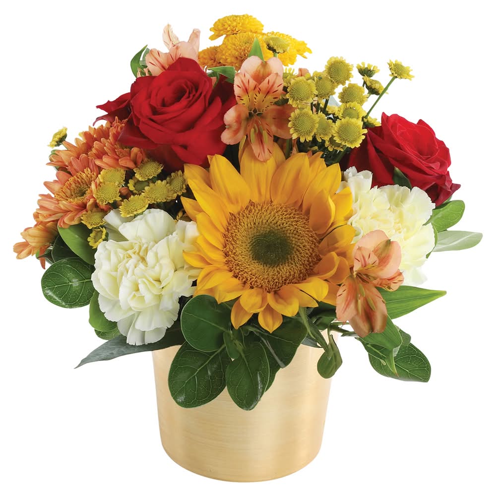 Auburn Arrangement 1 Ea