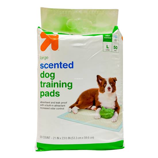 Up & Up Puppy and Adult Scented Dog Training Pads (large)