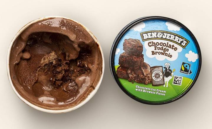 Ben & Jerrys Chocolate Fudge Ice Cream