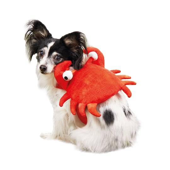 Assorted Halloween Crab Dog Costume, 1Pc. By Ashland