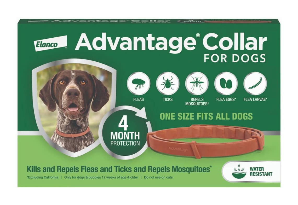 Advantage 4 Month Protection Flea & Tick Collar For Dogs, One Size