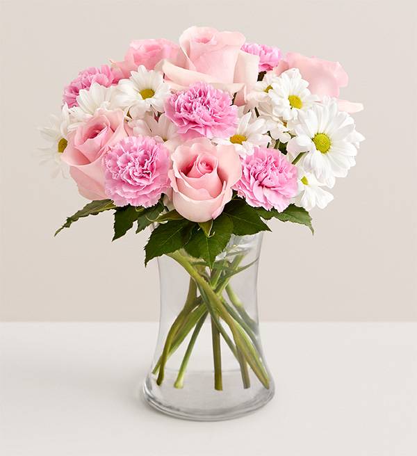 Daisy and Rose Delight - Medium
