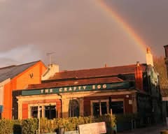 The Crafty Egg (Fish Ponds)