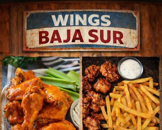 Wings Baja Sur (San Luis Potosi)