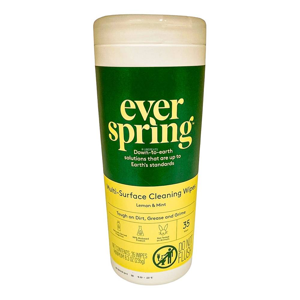 Everspring Multi Surface Cleaning Wipes