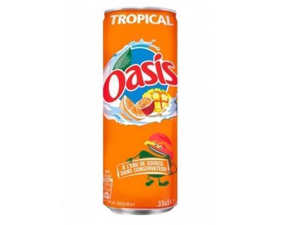 Oasis tropical