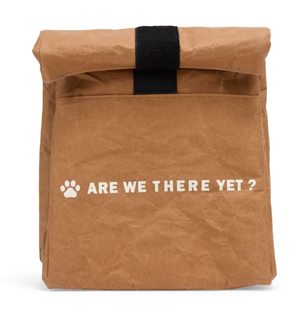 EveryYay Travel Insulated Cooler Bag