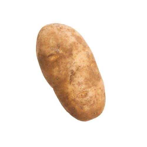 Russet Potato (1 potato)