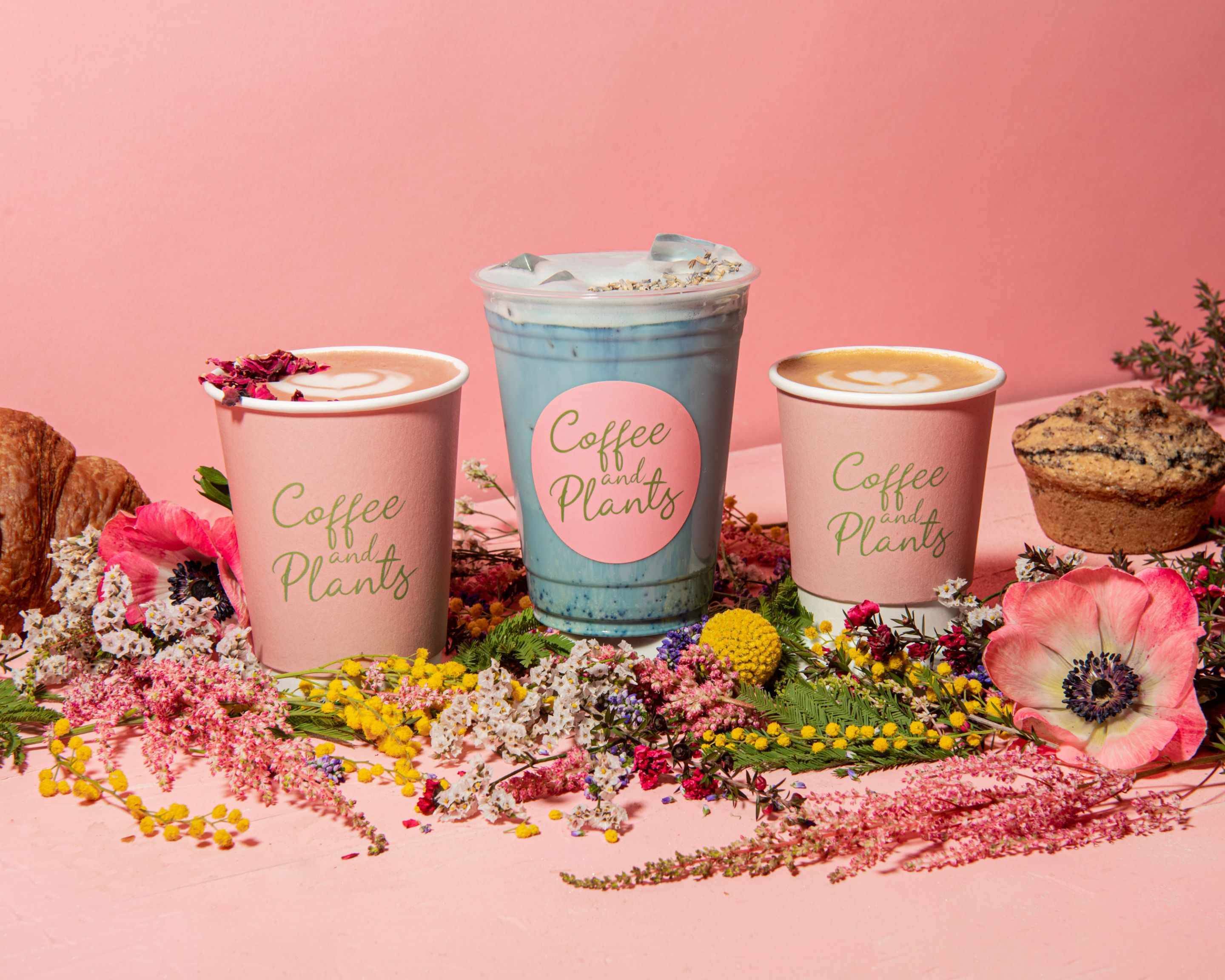 Order Coffee and Plants Studio City Menu Delivery【Menu & Prices】 Los