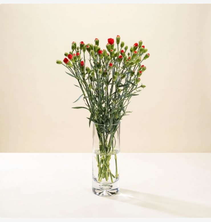 Morrisons Spray Carnations