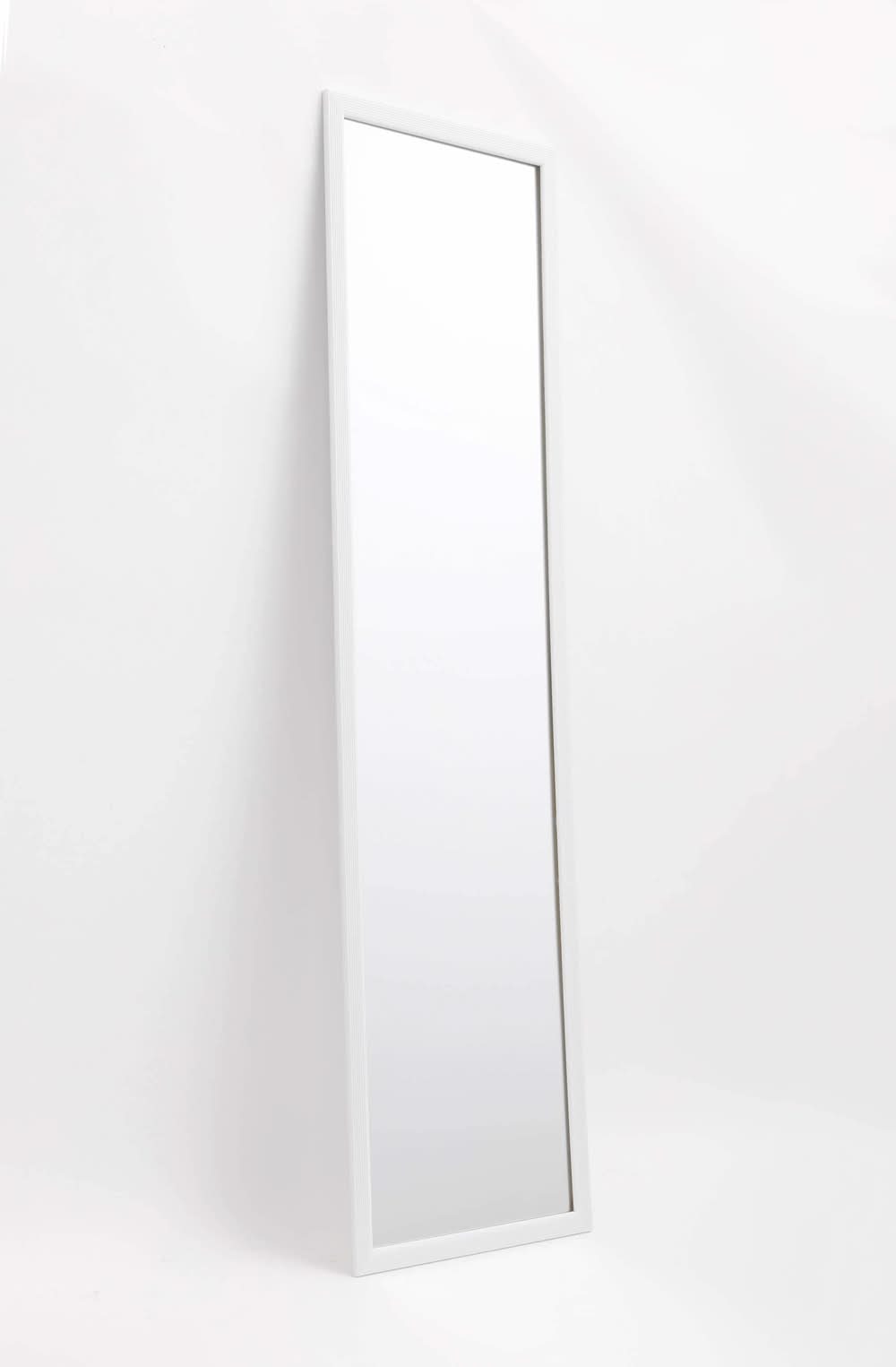 Style Selections 14-in W x 50.0-in H Rectangle White Framed Full Length Door Mirror